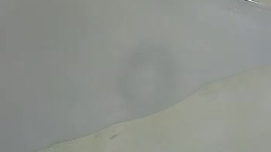 video1